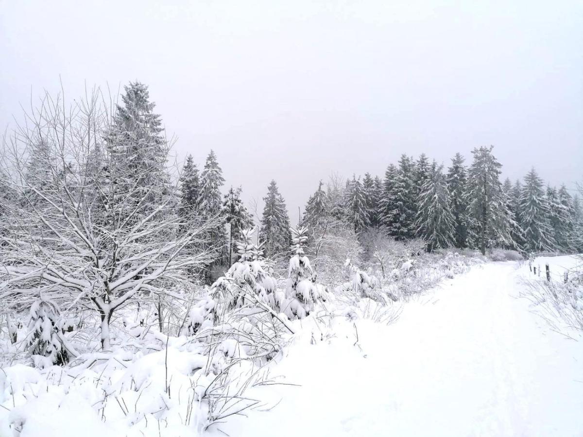 Haus Berchstein Winterberg Exterior foto